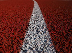 九游网-田径项目专项训练成效显著，田径专项体能训练